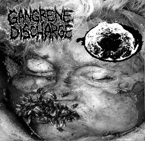Gangrene Discharge : Gangrene Discharge - Enterococcaceae
